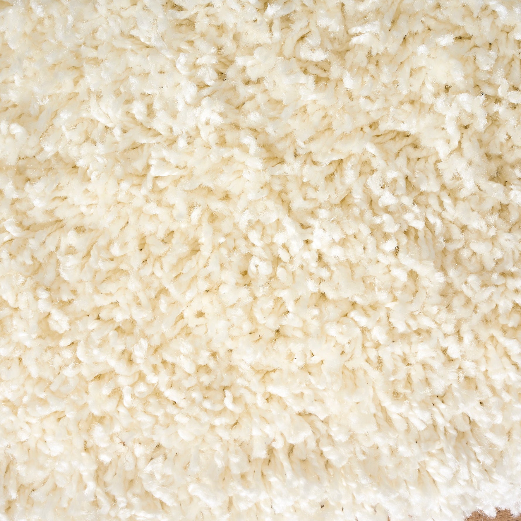 Cream Thick Shaggy Rug - California - Bargainia.com - 