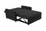 Dahlia Black Two Seater Pull Out Sofa Bed  - Convertible Sleeper Sofa Sofas Bargainia