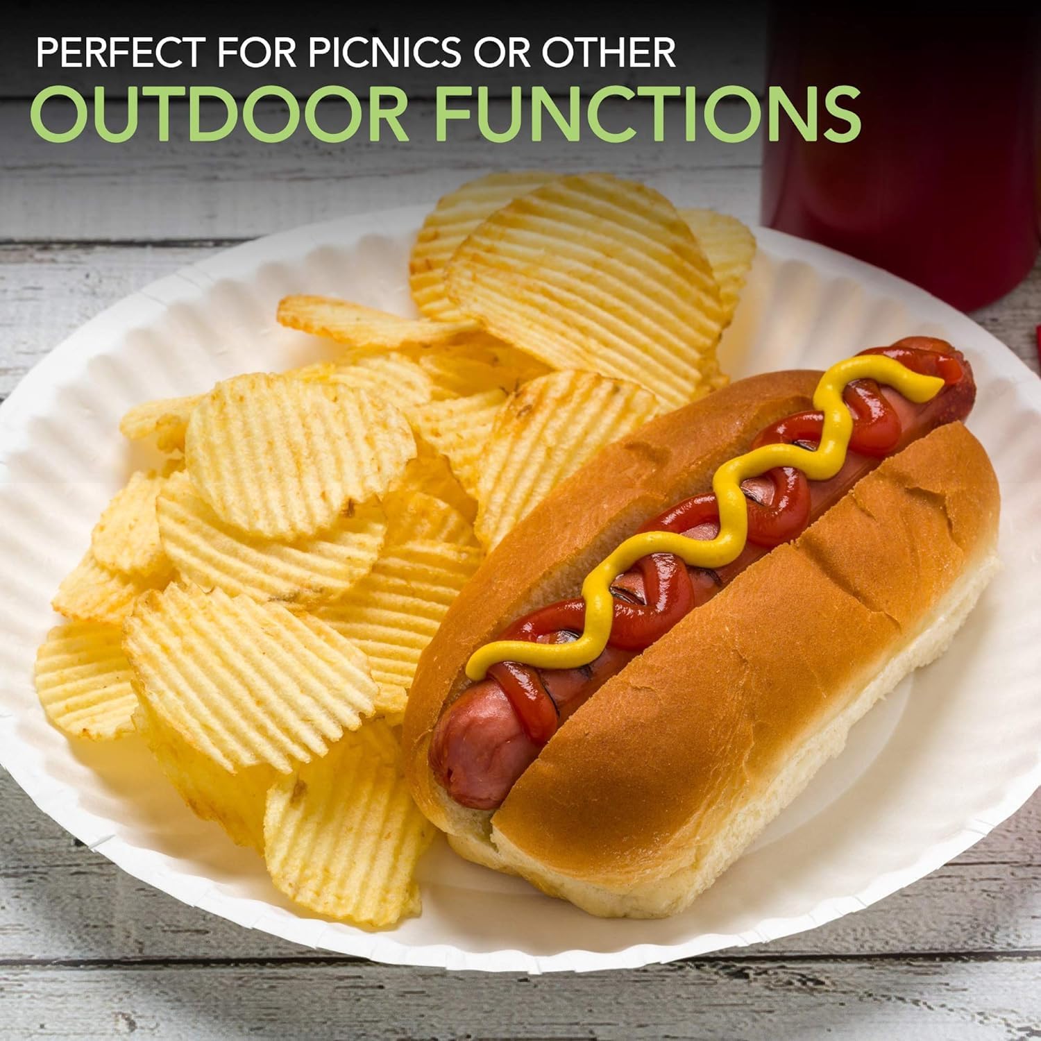 Delight Plus 9" Paper Plate - 100 Pack - Bargainia.com - 5060977240224 - DP - 11135