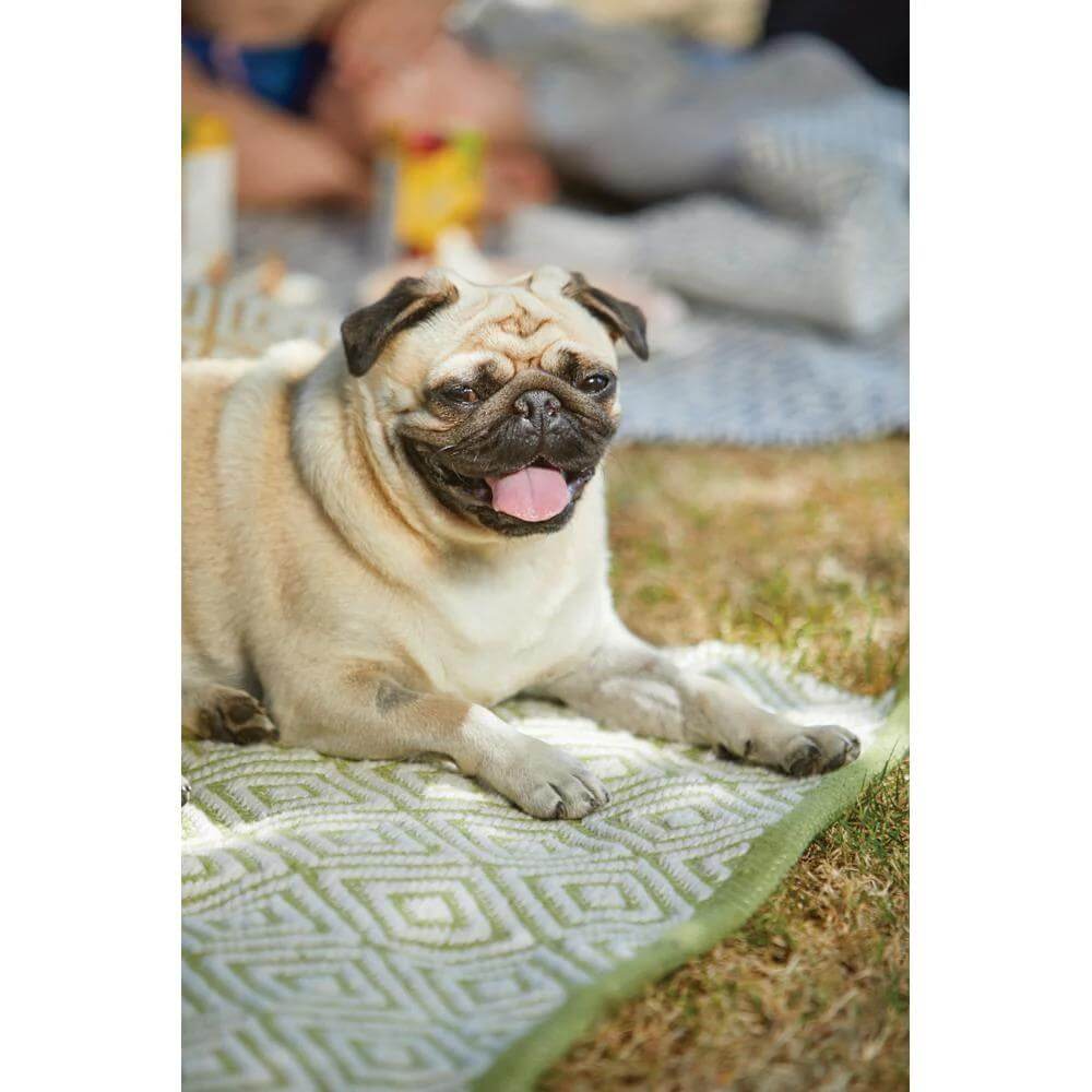 Diamond Green Hand - woven Rug - Bargainia.com - 5026134540774 - HWDIAR_GREENX_080X150