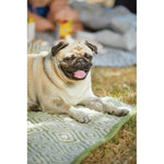 Diamond Green Hand - woven Rug - Bargainia.com - 