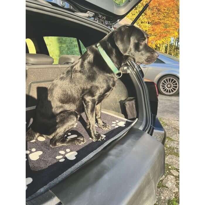 Dog Themed Washable Mat and Runner - Bargainia.com - 5026134519275 - HSMABT_BIGPA2_080X100