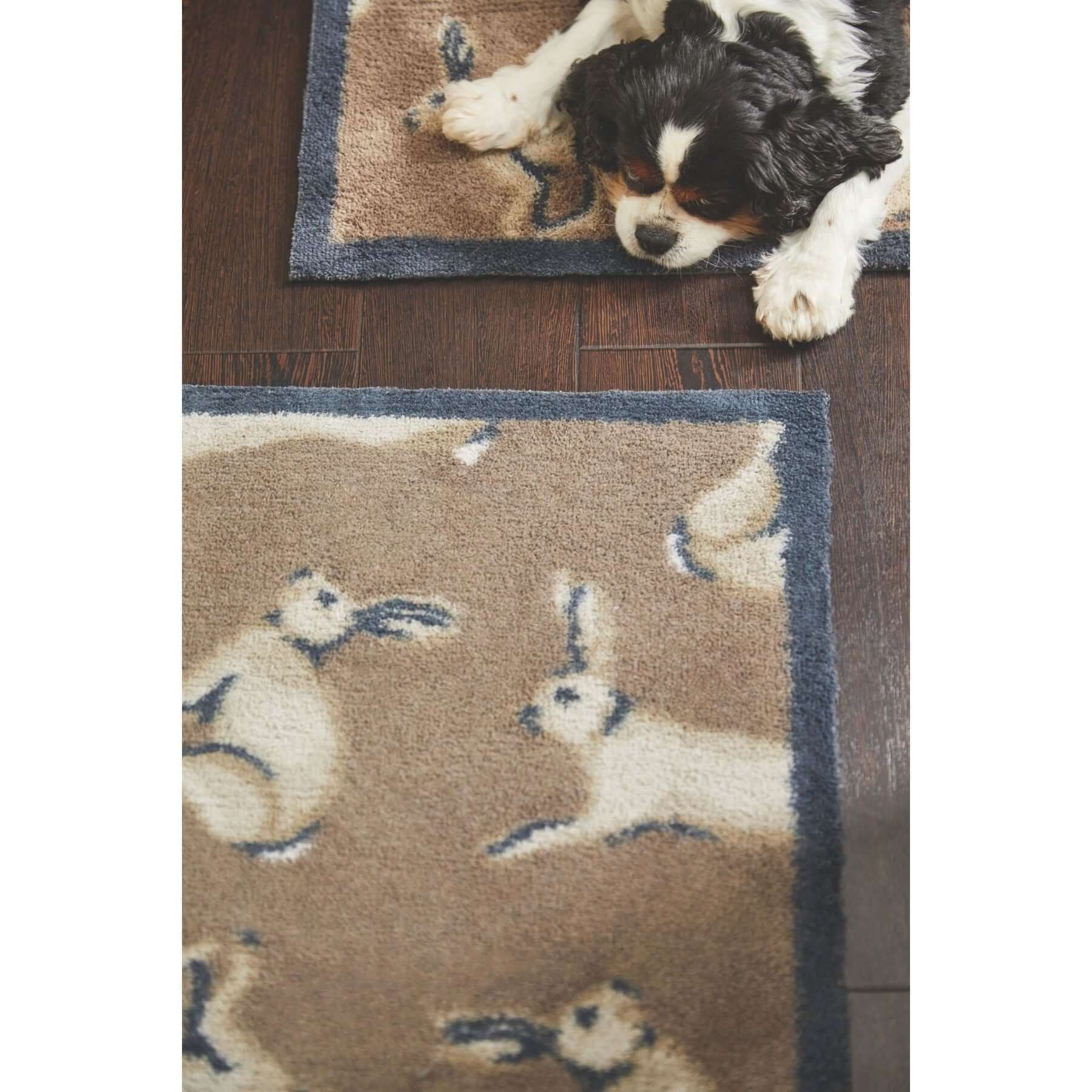 Eco - Friendly Cotton Animal Mat - Bargainia.com - 5026134538160 - HGDESI_HAREX1_065x085
