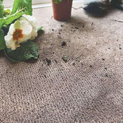 Eco - Friendly Soft Washable Mat and Runner - Bargainia.com - 5026134620612 - MYSOWA_GHSGRY_050X075