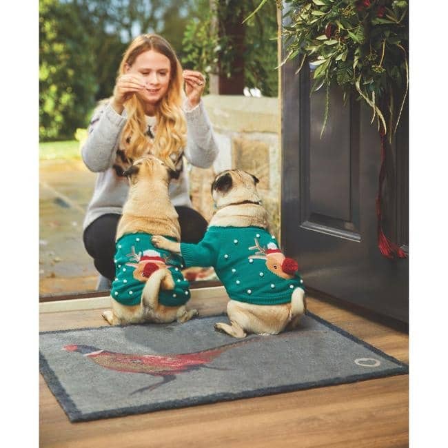 Eco - Friendly Washable Animals Mat - Bargainia.com - 5026134524859 - HGDESI_PHSNT1_065X085