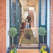 Eco - Friendly Washable Birds Mat - Bargainia.com - 5026134595422 - HGDESI_NUTHA1_065X085