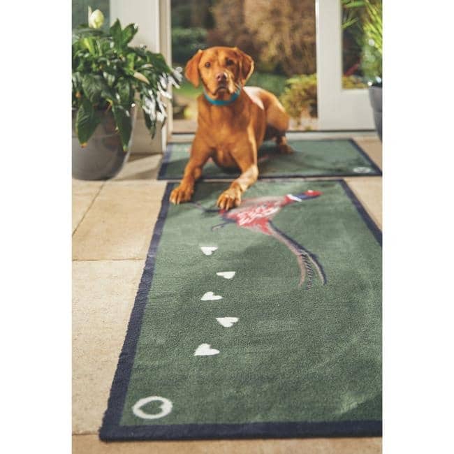 Eco - Friendly Washable Green Peasant Mat - Bargainia.com - 5026134621220 - HGDESI_PHSNT2_065X100