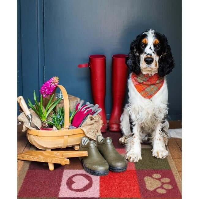 Eco - Friendly Washable Heart Pet Mat - Bargainia.com - 5026134639829 - HGDESI_PATPAW_065X085