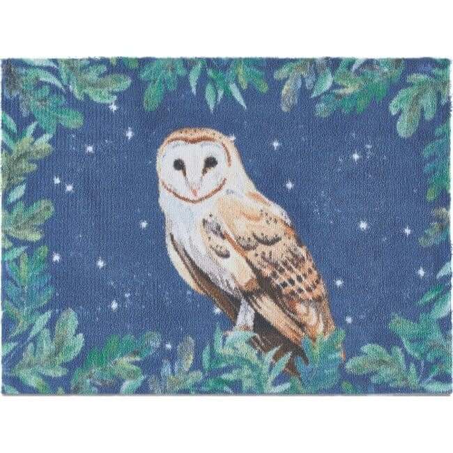 Eco - Friendly Washable Home and Animal Mat – 65X85 cm - Bargainia.com - 5026134610651 - HGDESI_OWL1XX_065X085