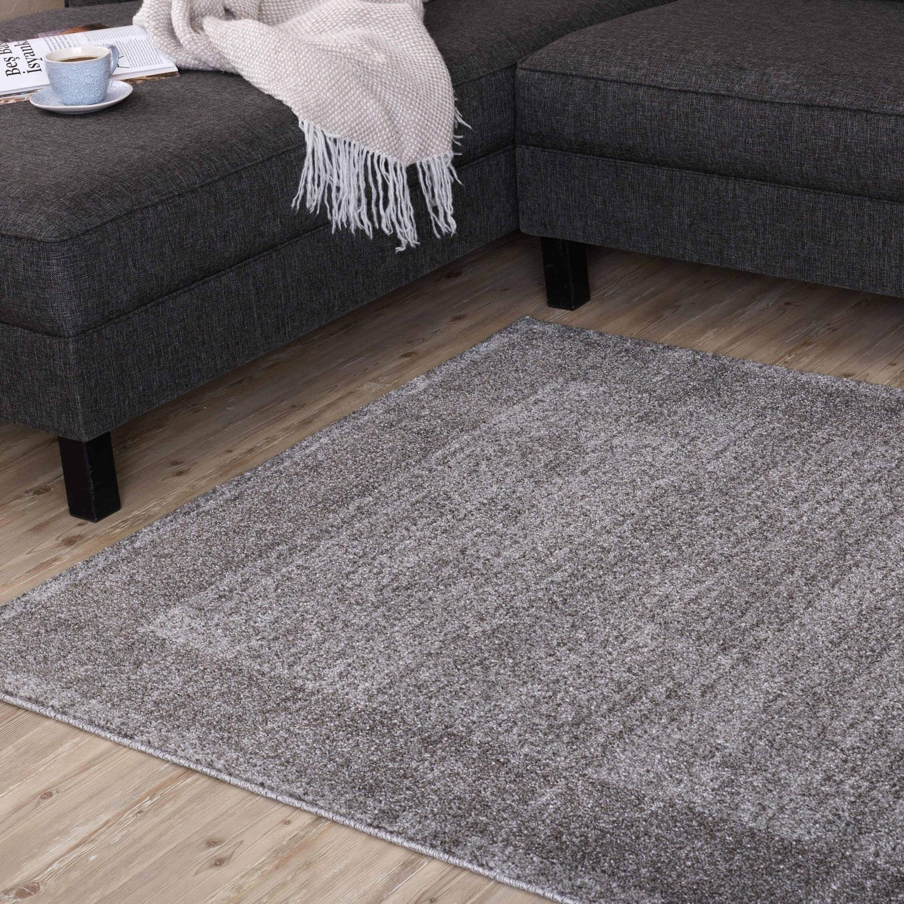 Ephesus Modern Grey Rugs | 7437G - Bargainia.com - 
