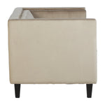 Felisa Two Seater Mink Velvet Sofa - Bargainia.com - 