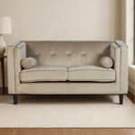 Felisa Two Seater Mink Velvet Sofa - Bargainia.com - 
