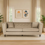 Ferris 3 Seat Mink Velvet Sofa - Bargainia.com - 