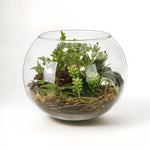 Fiori Large Terranium - Bargainia.com - 5018705473550