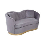 Franza Grey 2 Seat Pleated Velvet Sofa - Bargainia.com - 