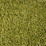 Green Thick Shaggy Rug - California - Bargainia.com - 
