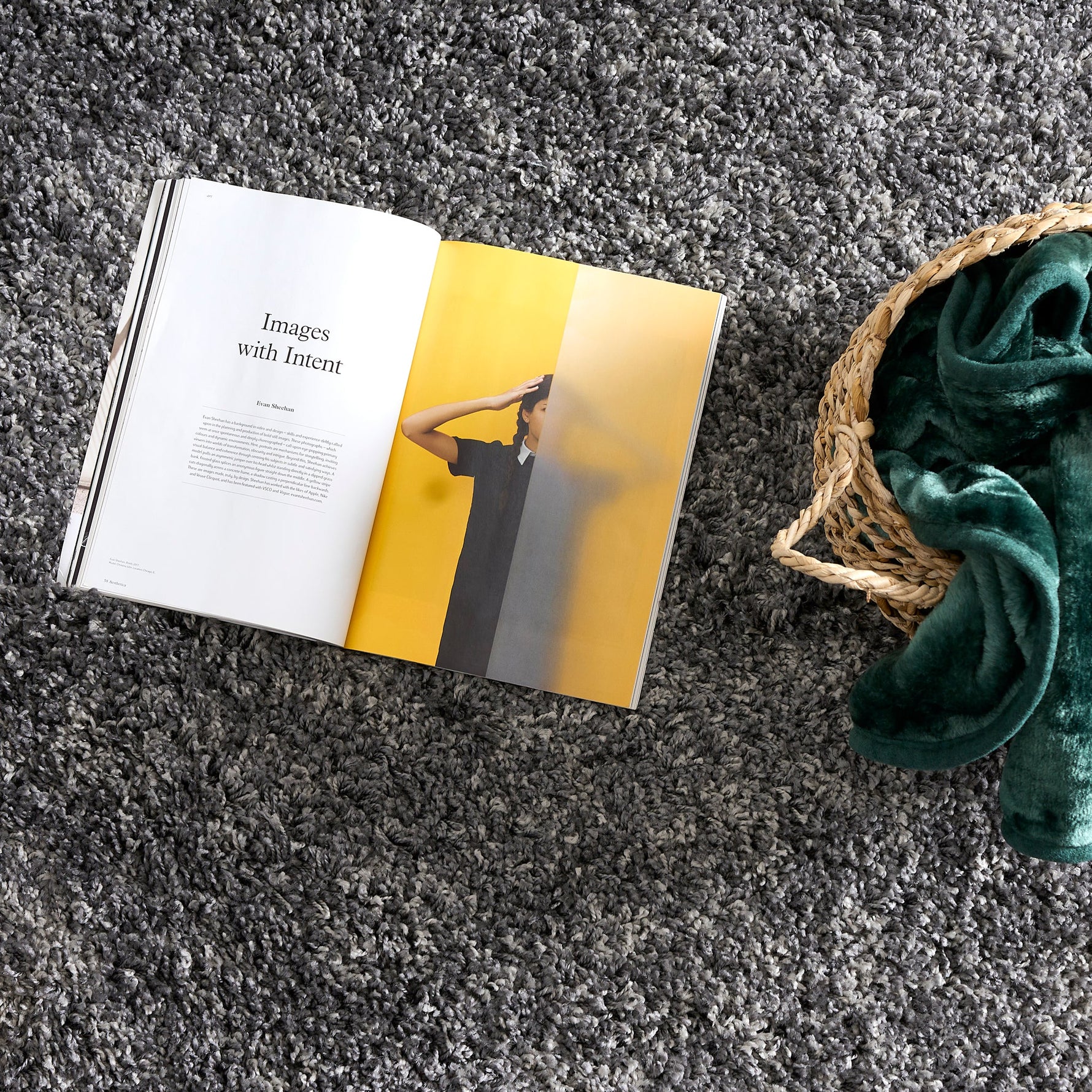 Grey Thick Shaggy Rug - California - Bargainia.com - 