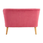 Mia 2 Seat Pink Velvet Kids Sofa - Bargainia.com - 