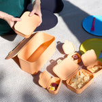 Multi Function Plastic (BPA Free) Storage Boxes With Attached Lids - Orange - Set of 8 - Bargainia.com - 