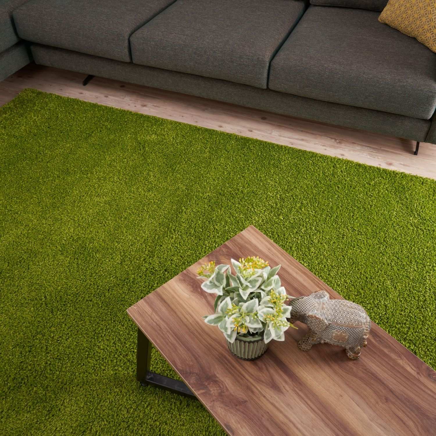 Myshaggy Solid Green Rug - Bargainia.com - 