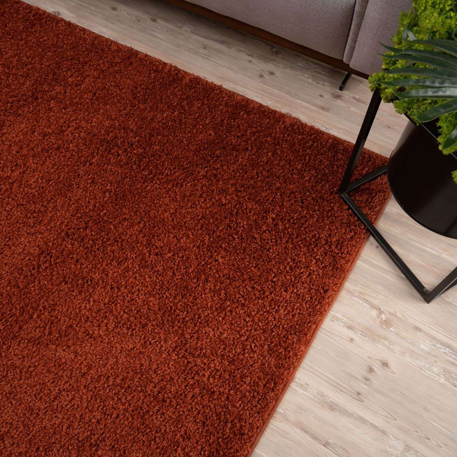Myshaggy Solid Terra Rug - Bargainia.com - 