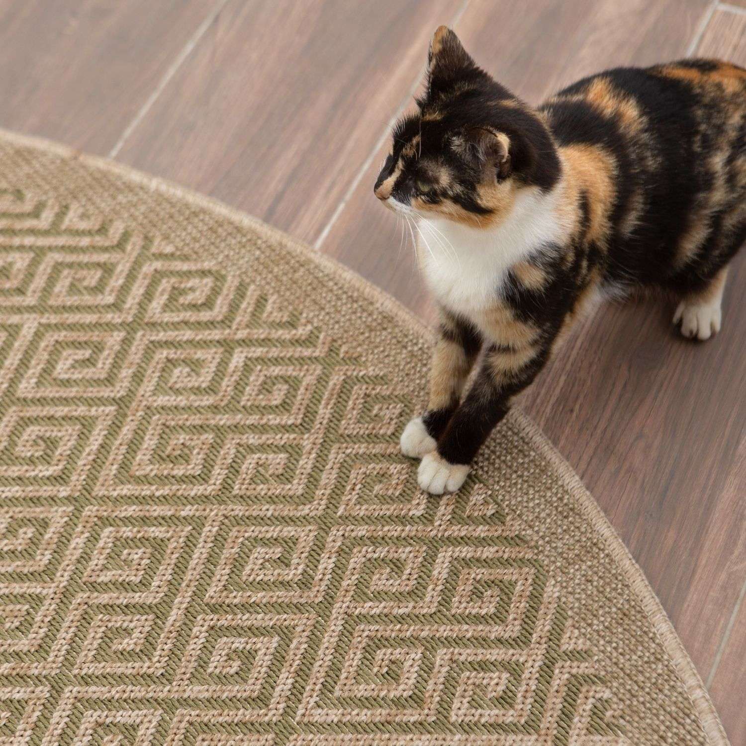 Nature Outdoor Rug Green | 5100G - Bargainia.com - 5056584507713 - 3404