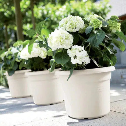 ELHO 39cm Cotton White Round Plant & Flower Pot-Bargainia.com