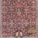 Oriental Vivana Rug - Bargainia.com - 