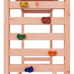 Outdoor Playset Solid Wood Douglas - Bargainia.com - 