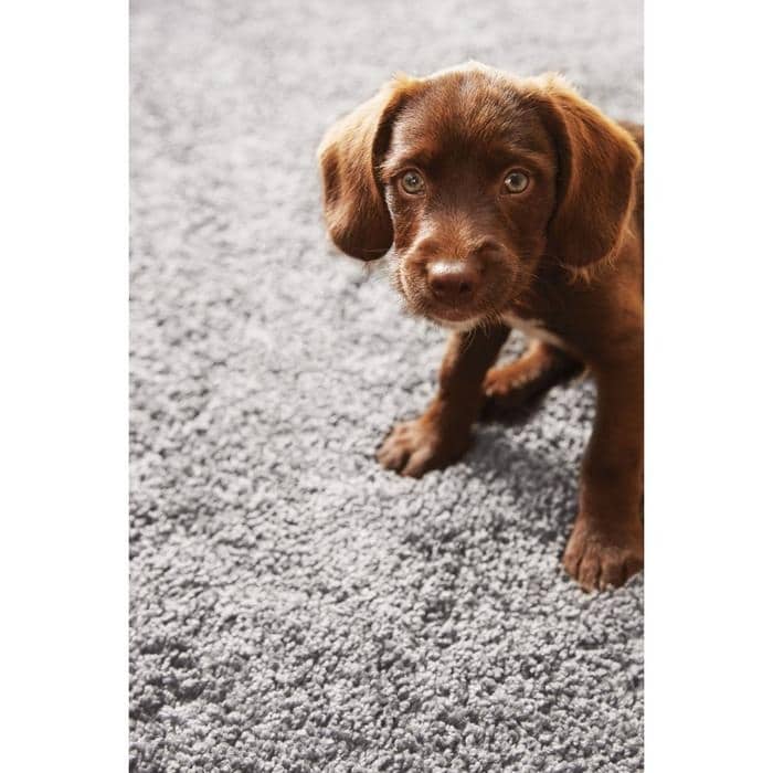 Plain Washable Pet Rug and Runner - Bargainia.com - 5026134535947 - HSSHGY_GSTGRY_060X100