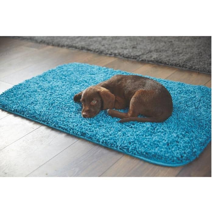 Plain Washable Pet Rug and Runner - Bargainia.com - 5026134536029 - HSSHGY_TEALXX_060X100