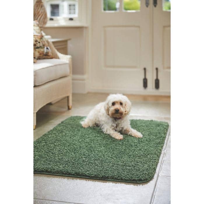 Plain Washable Pet Rug and Runner - Bargainia.com - 5026134569461 - HSSHGY_FSTGRN_060X100