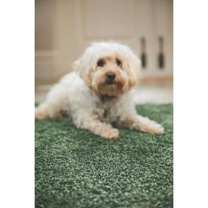 Plain Washable Pet Rug and Runner - Bargainia.com - 5026134569461 - HSSHGY_FSTGRN_060X100