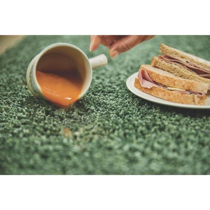 Plain Washable Pet Rug and Runner - Bargainia.com - 5026134569461 - HSSHGY_FSTGRN_060X100