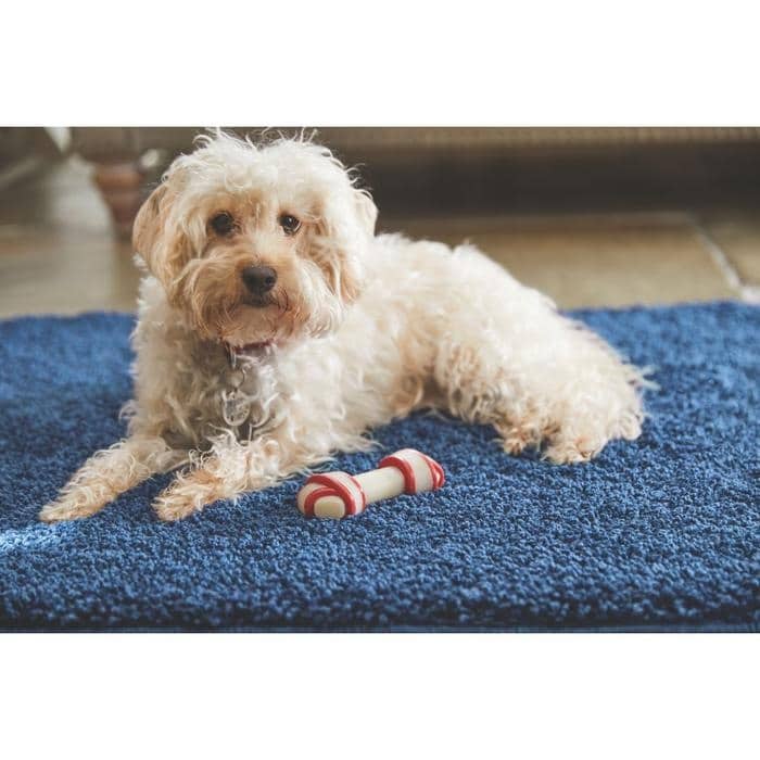 Plain Washable Pet Rug and Runner - Bargainia.com - 5026134569485 - HSSHGY_MDNBLU_060X100