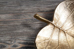 Prato Gold Finish Leaf Dish - Bargainia.com - 5018705438245