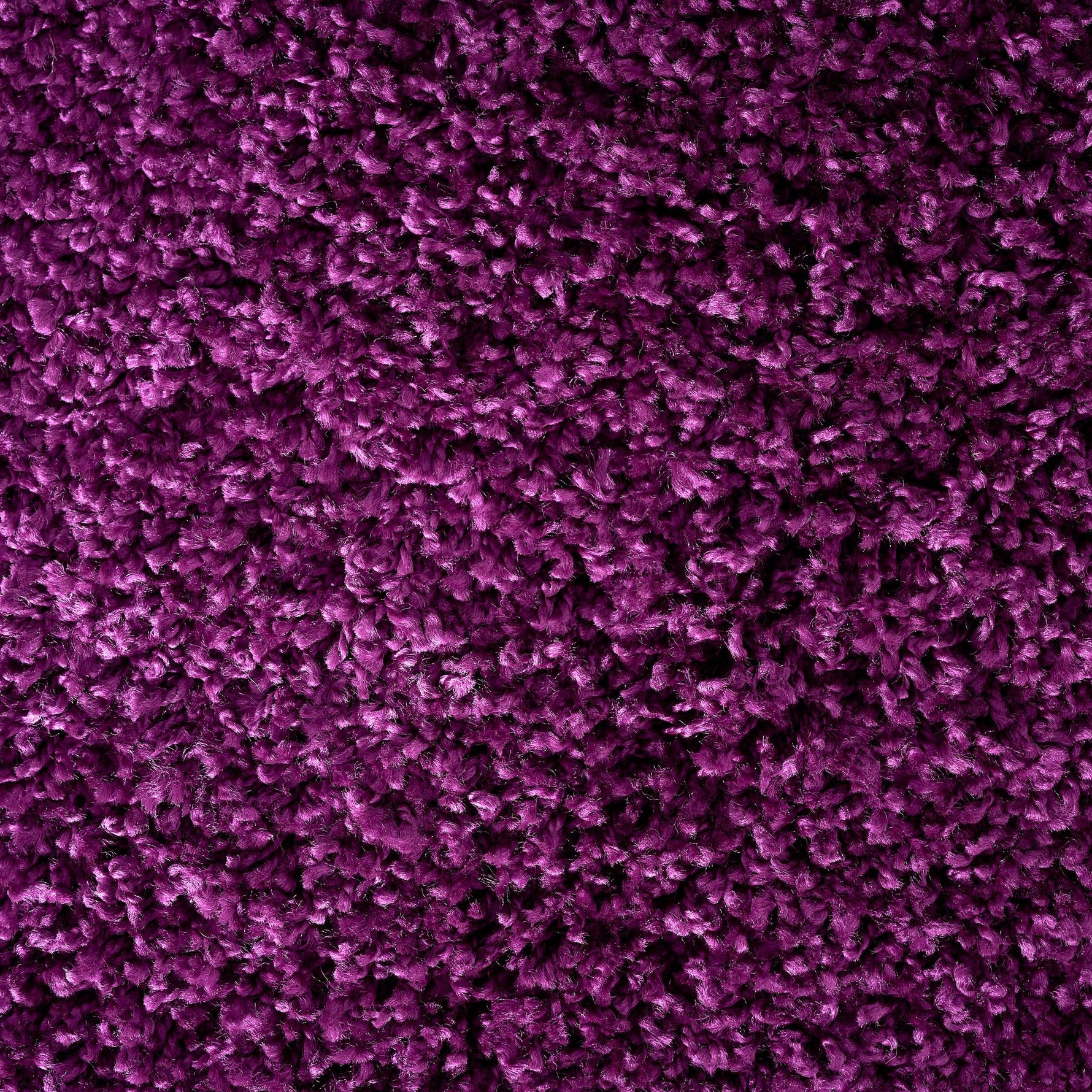 Purple Thick Shaggy Rug - California - Bargainia.com - 