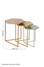 Rabia Nest Of 3 Hexagonal Nesting Table - Bargainia.com - 5018705463261