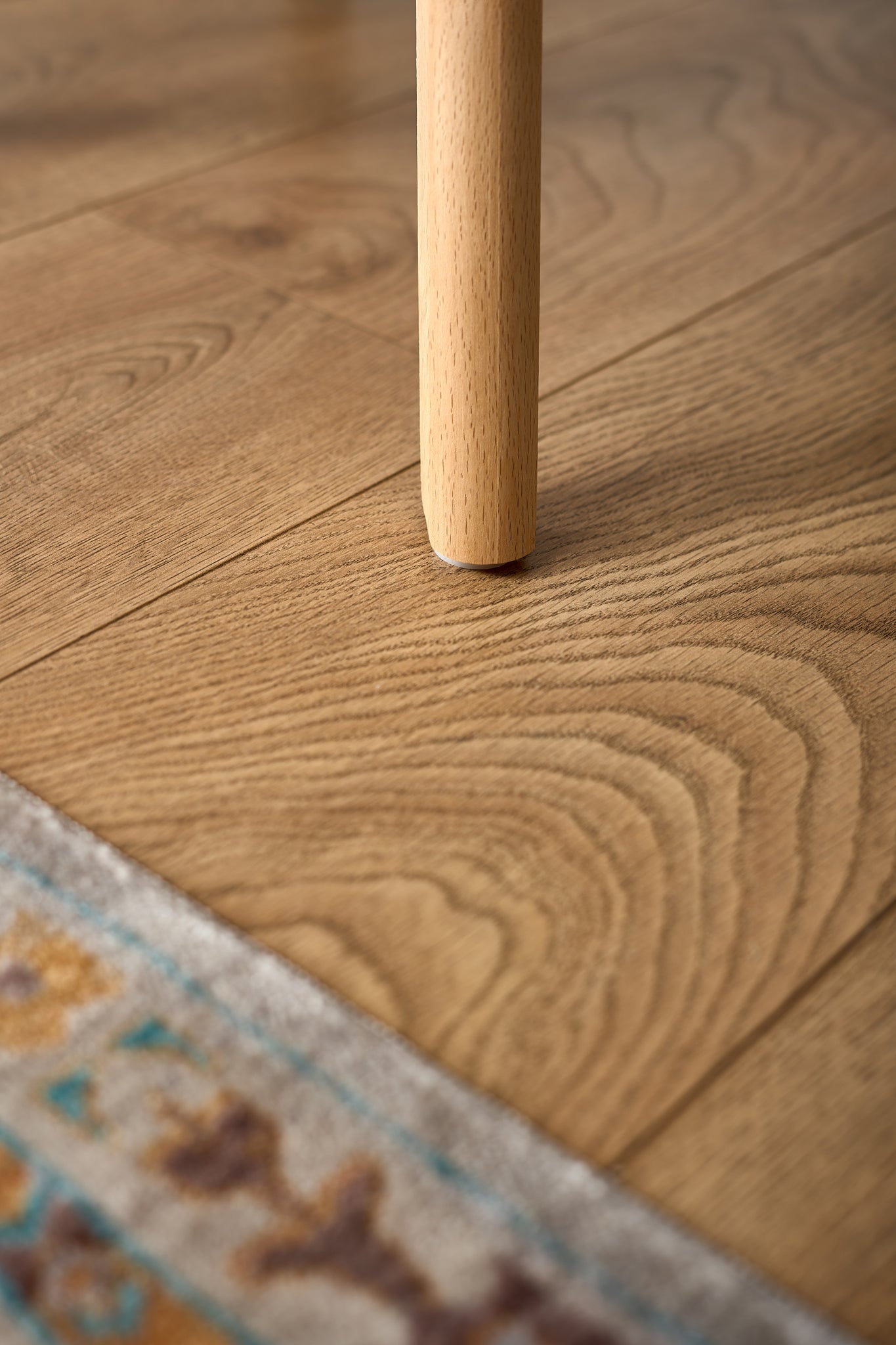 Rocco Tulip Dining Chairs - Navy Blue Bargainia