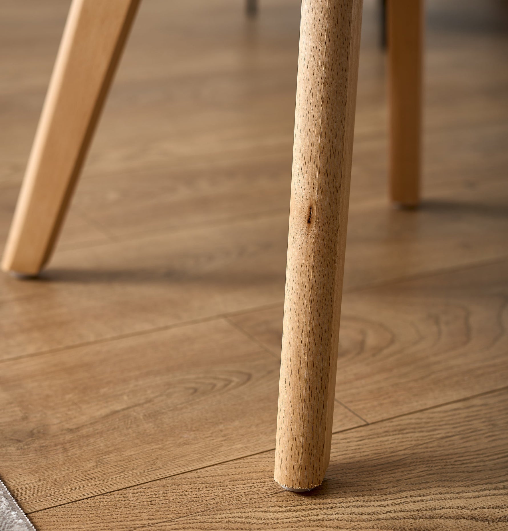 Rocco Tulip Dining Chairs - Taupe - Bargainia.com - 