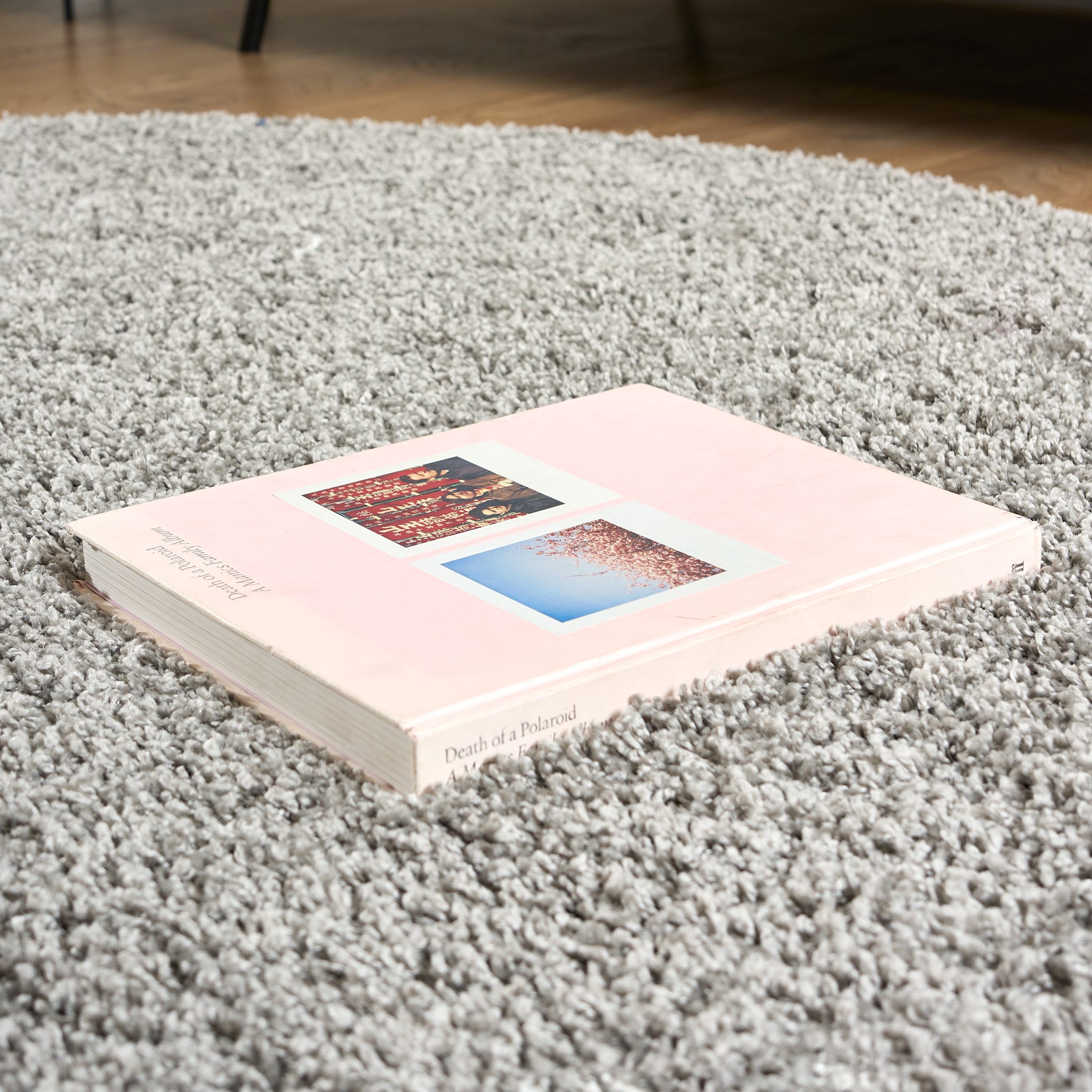 Silver Thick Shaggy Rug - California Rugs Rug Masters