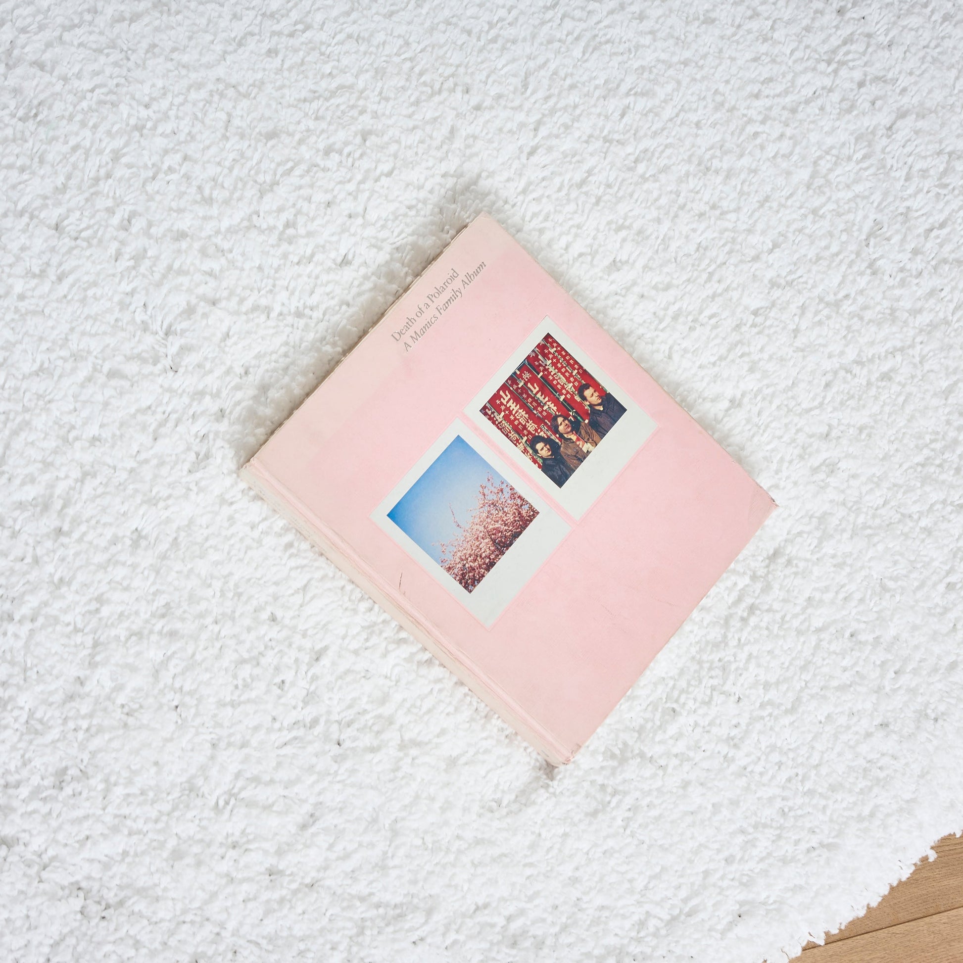 Snow White Plain Shaggy Rug - California Rugs Rug Masters