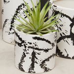 Sorrell Black And White Small Planter - Bargainia.com - 5018705977683