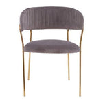 Tamzin Mink Channel Gold Finish Dining Chair - Bargainia.com - 5018705462042