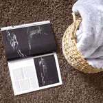 Taupe Thick Shaggy Rug - California - Bargainia.com - 