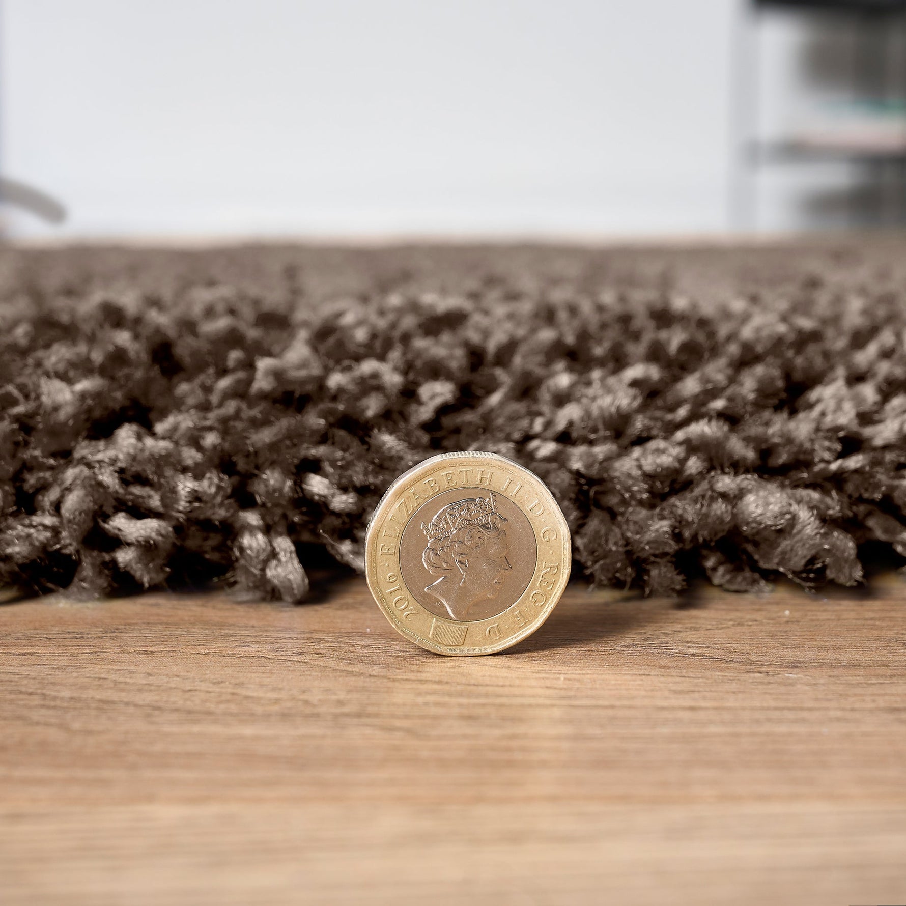 Taupe Thick Shaggy Rug - California - Bargainia.com - 