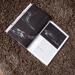 Taupe Thick Shaggy Rug - California - Bargainia.com - 