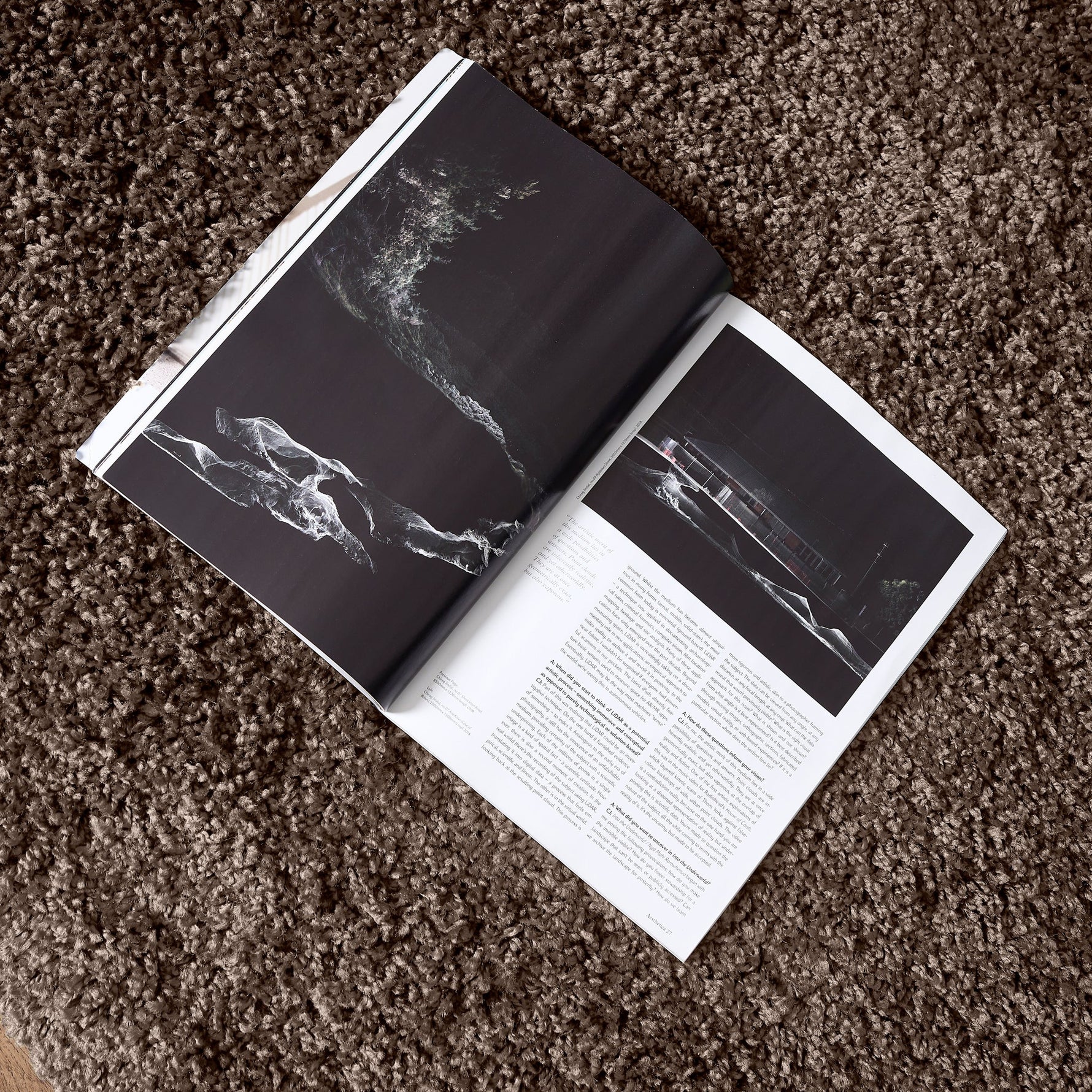 Taupe Thick Shaggy Rug - California - Bargainia.com - 