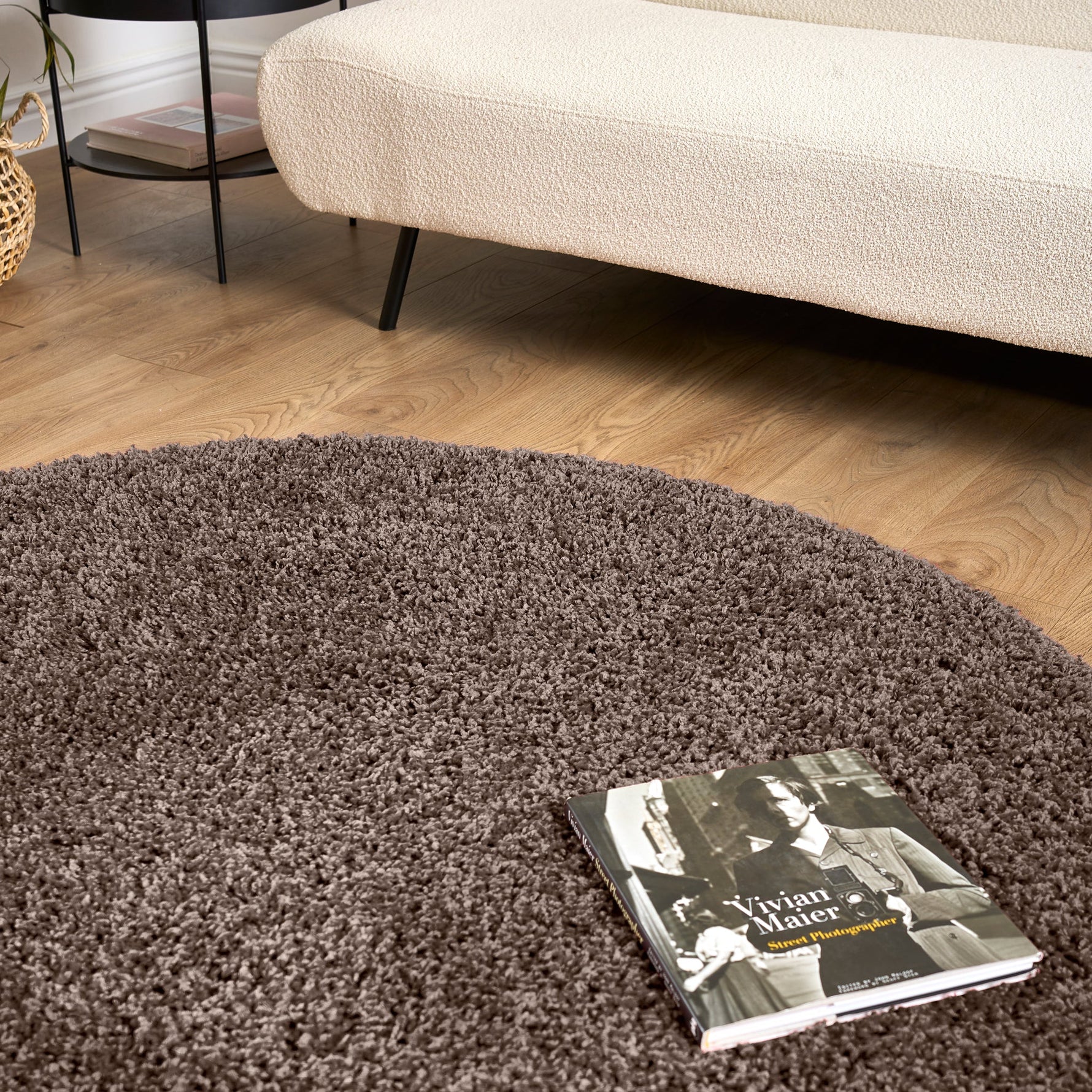 Taupe Thick Shaggy Rug - California - Bargainia.com - 