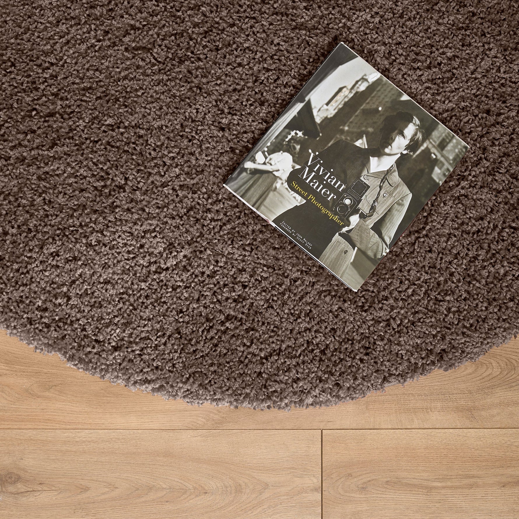 Taupe Thick Shaggy Rug - California - Bargainia.com - 